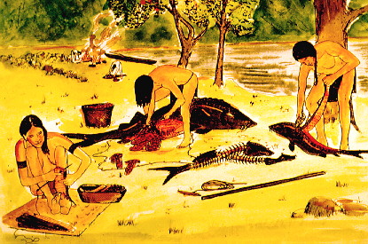 fish.jpg picture